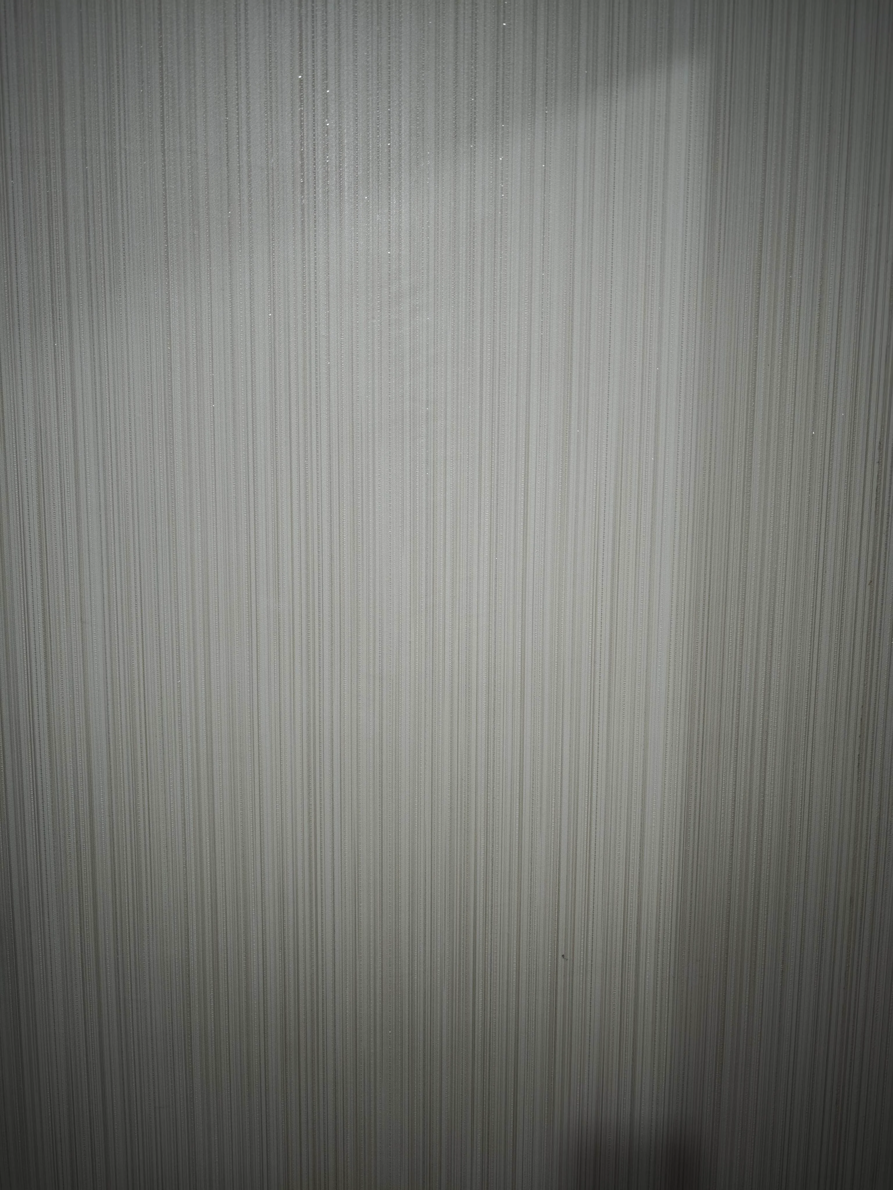 1000019731.webp