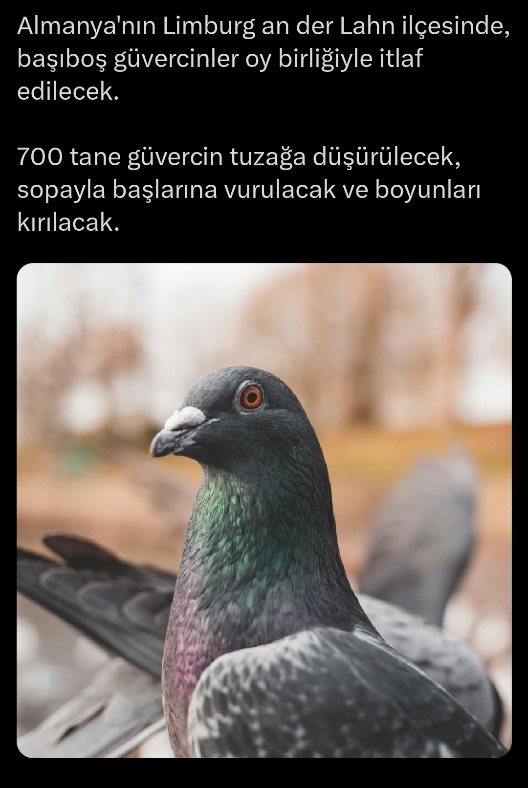 1000023745.jpg