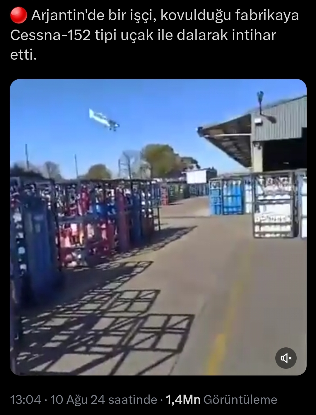 1000035027.jpg