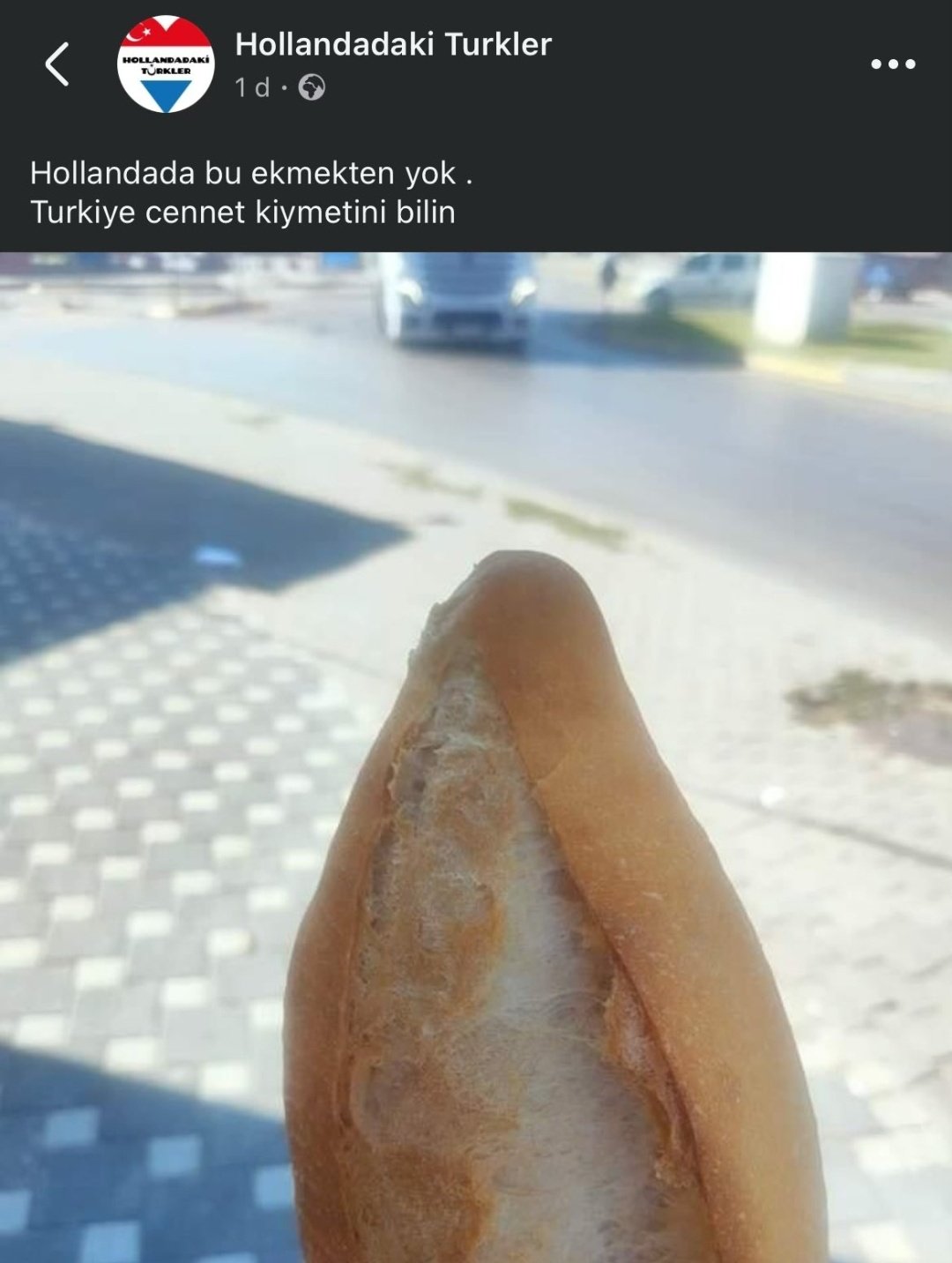 1000044407.jpg