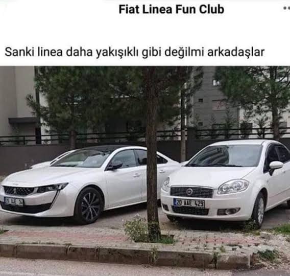 1000047088.jpg