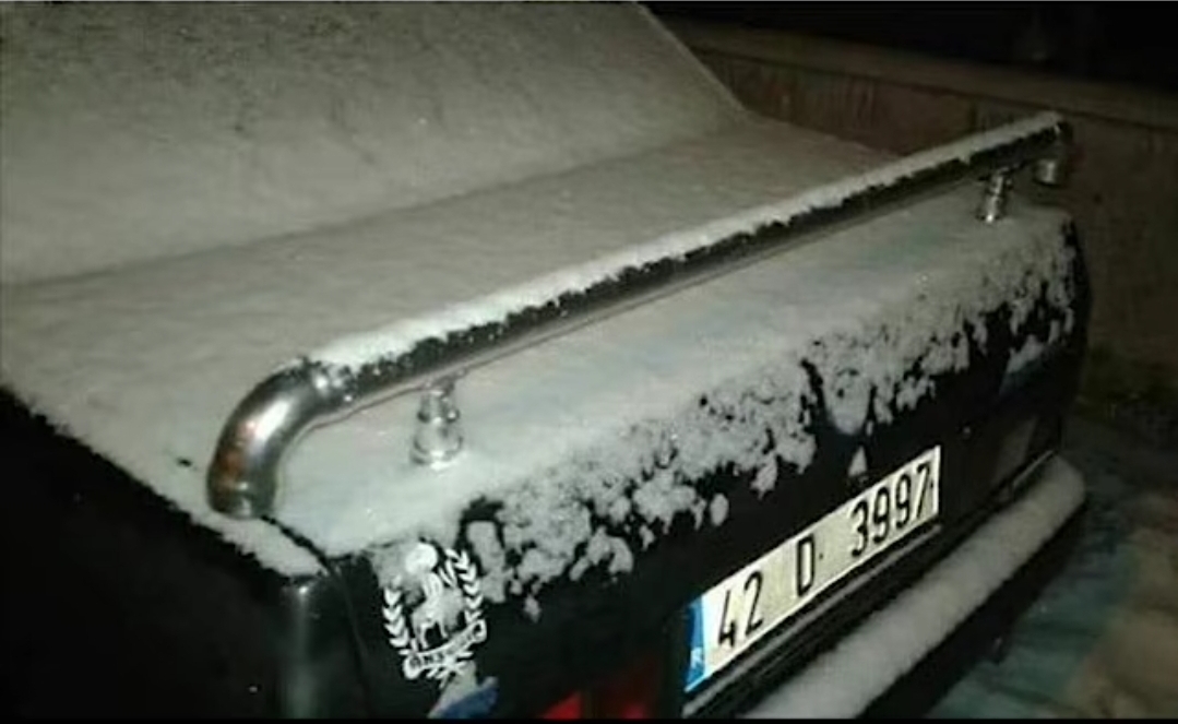 1000050098.jpg