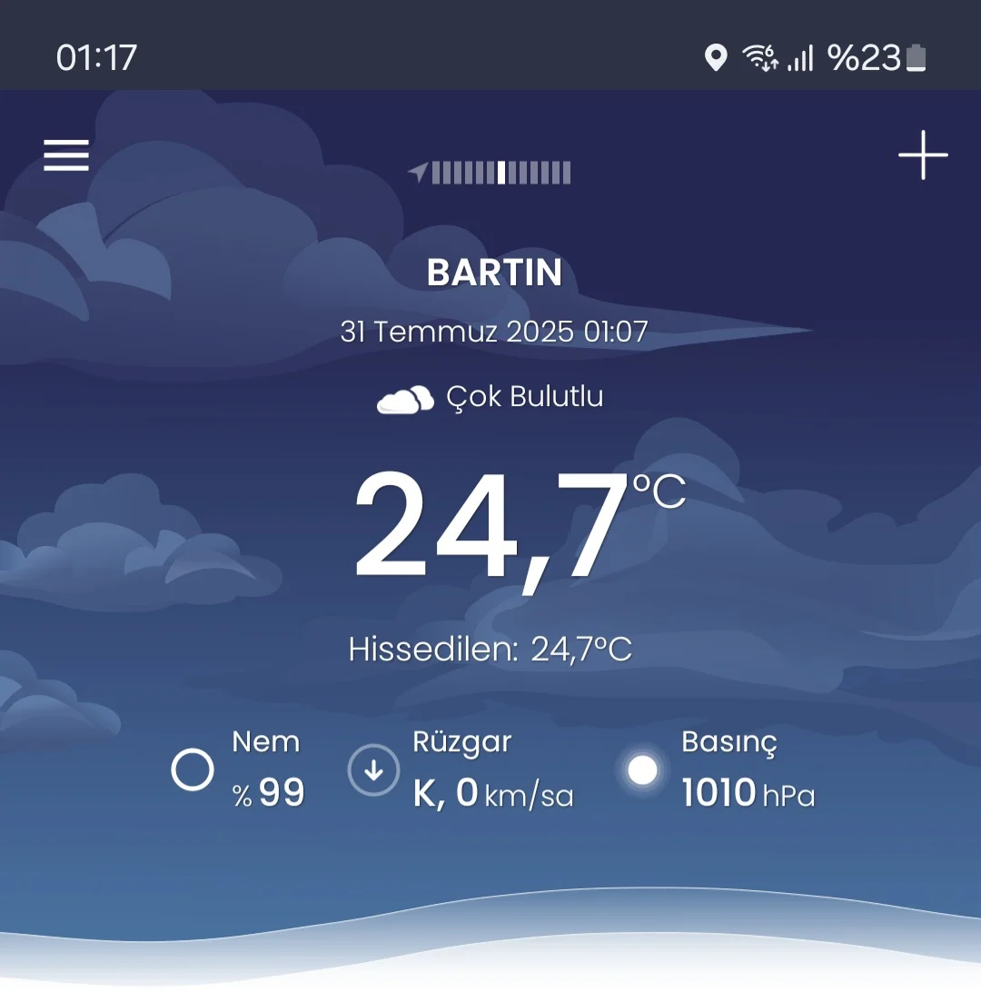 1000051215.webp