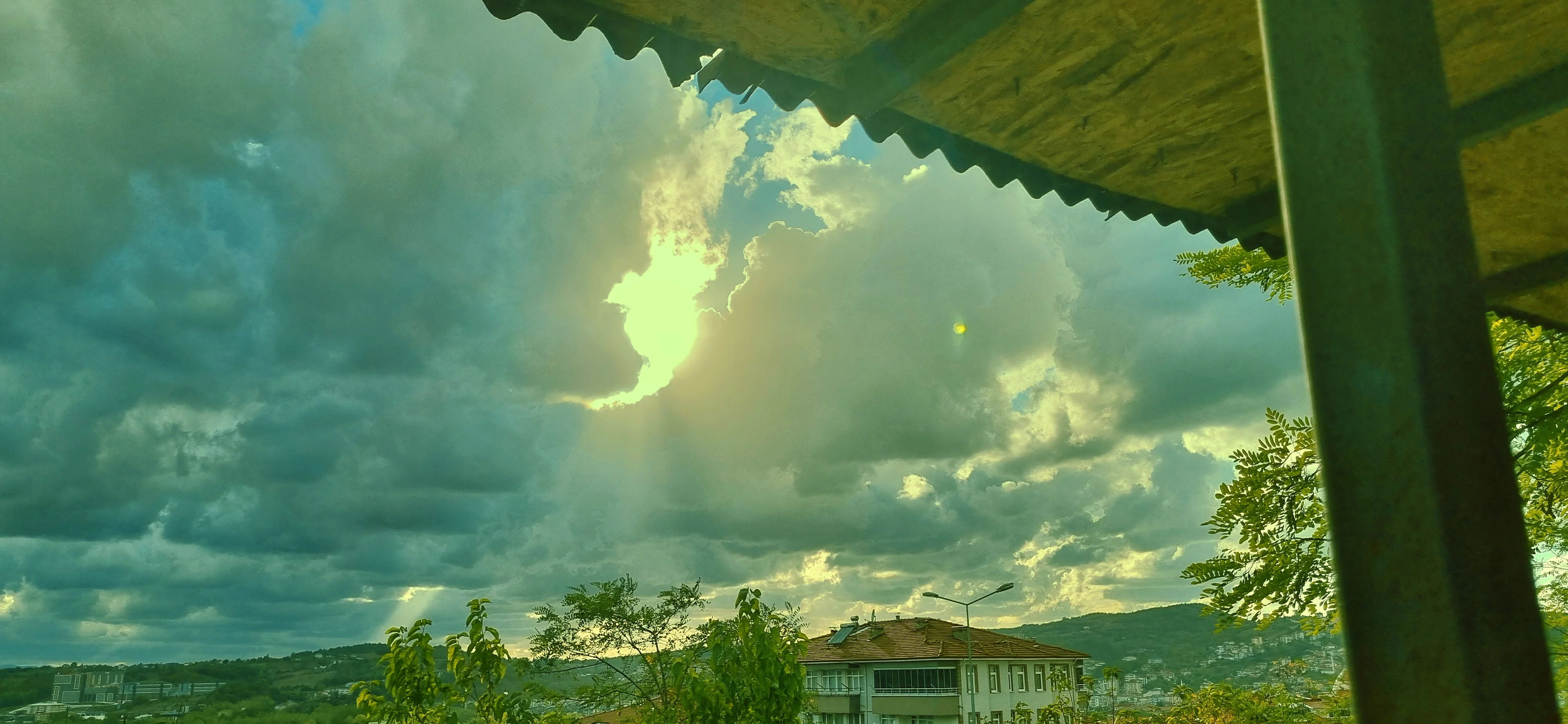 1000053822.webp