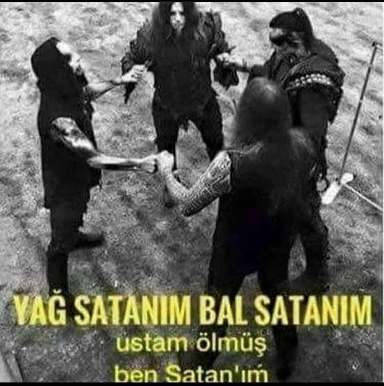 1000071916.jpg