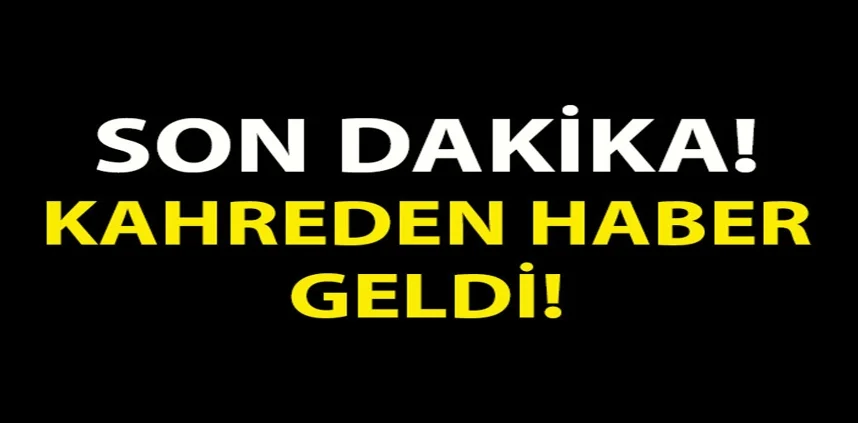 1000164124.webp