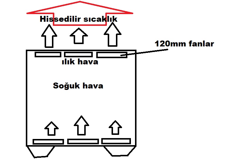 123.jpg