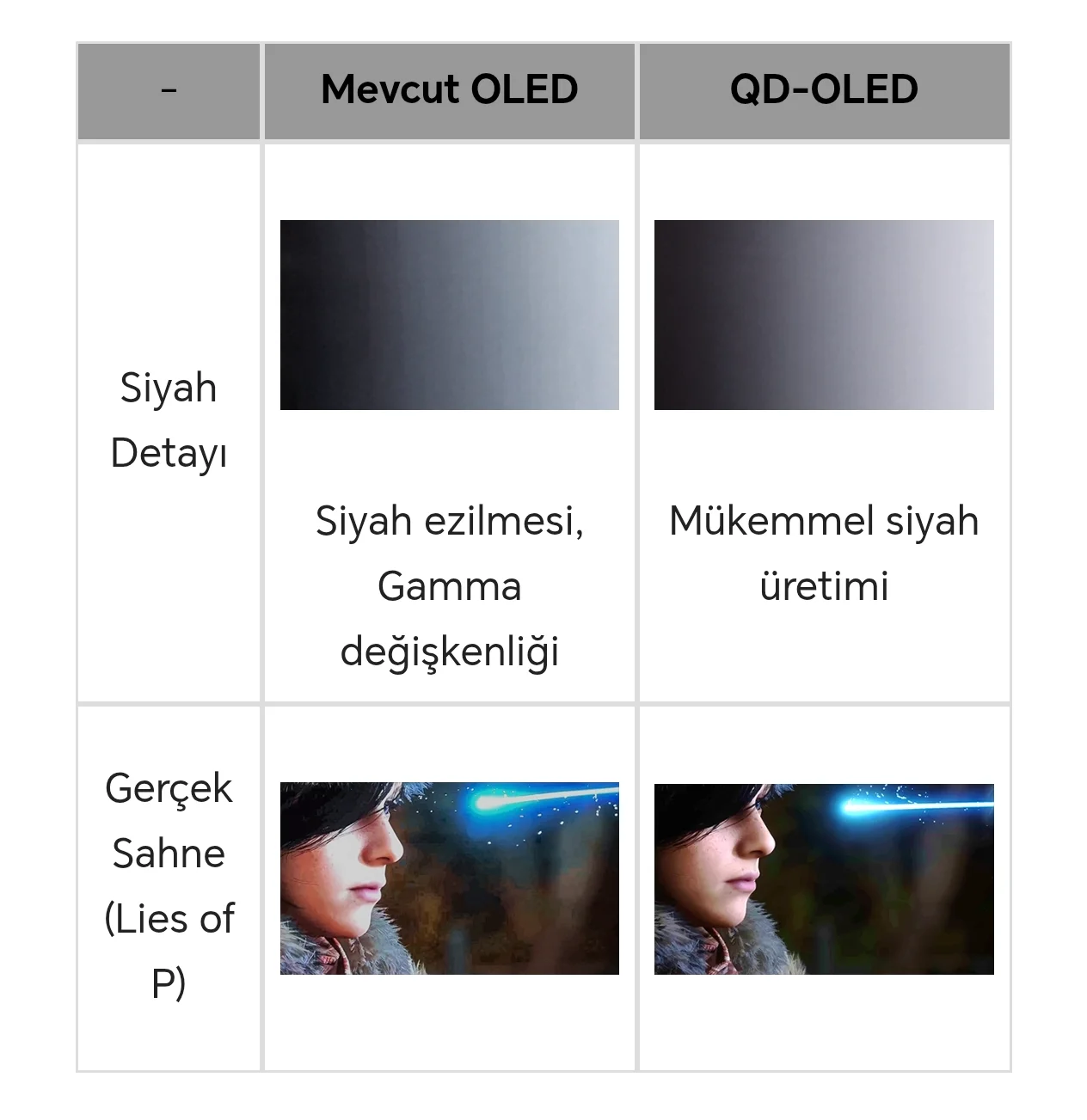 12897.webp