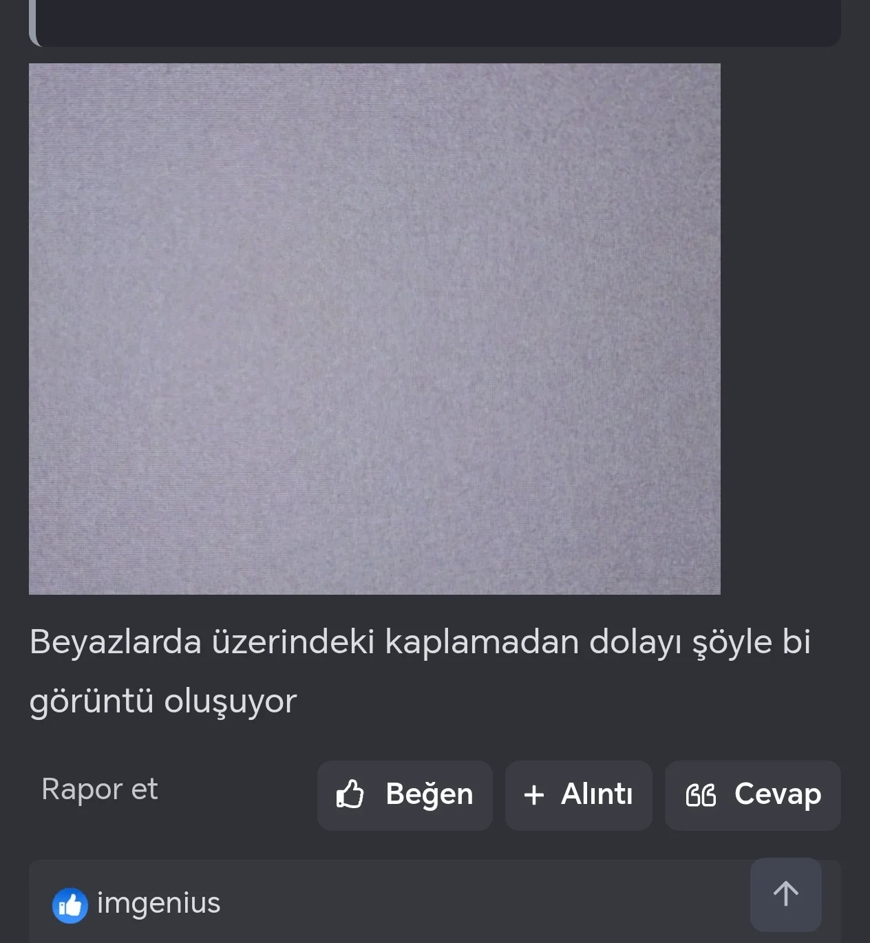 14556.webp