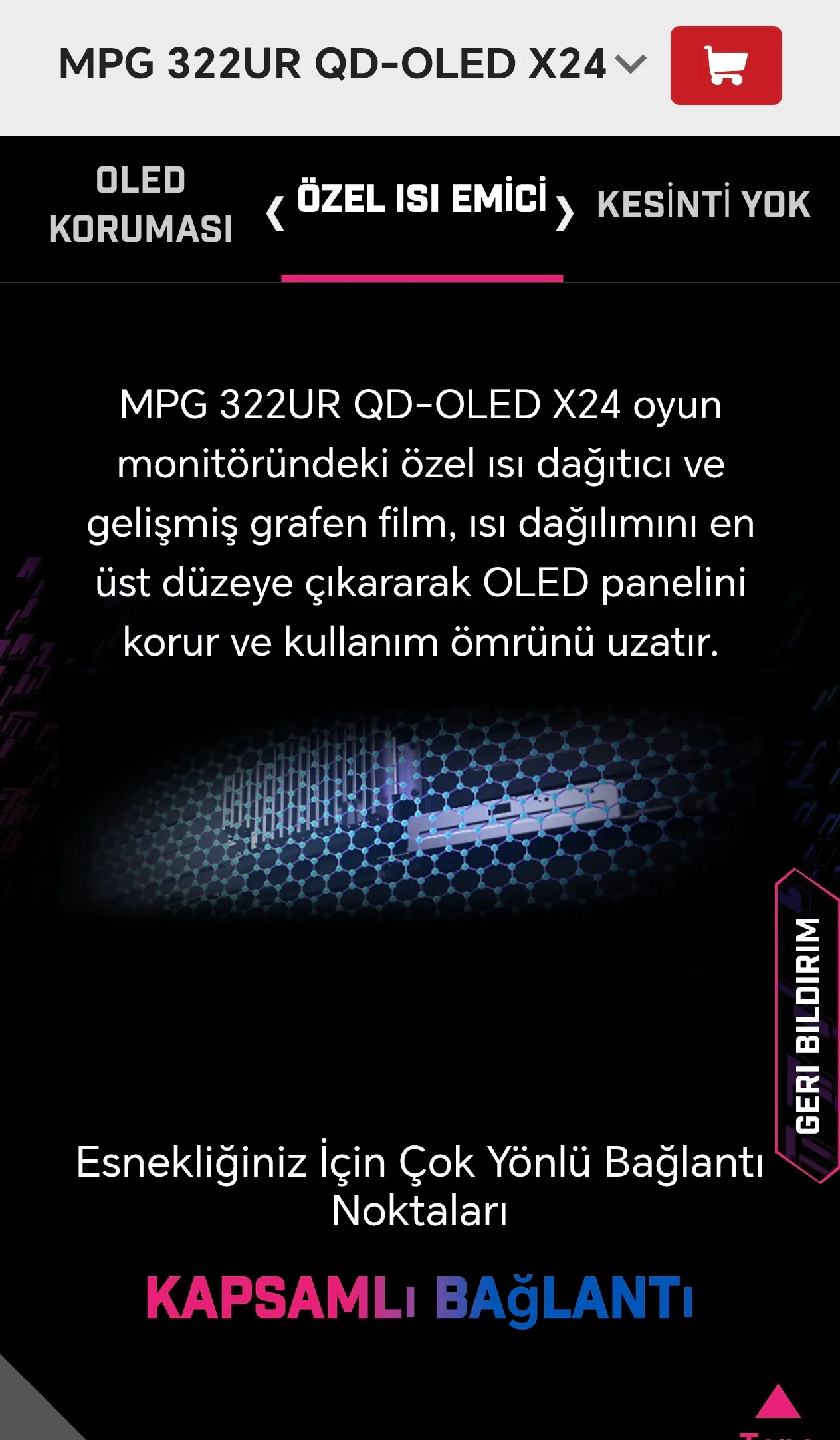 14876.webp