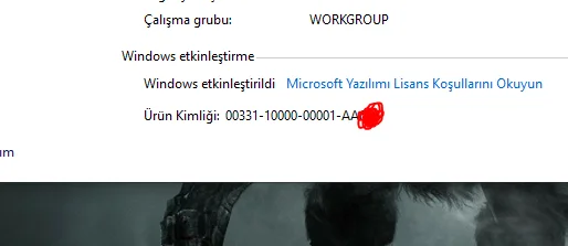 1592414683035.webp