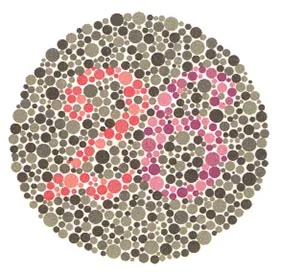 16.webp