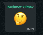 1613253668557.png