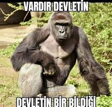 Alper Kahveci on Twitter: vardır devletin bir bildiği… 