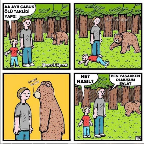 1617462189925.png