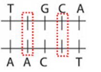 1638024166220.png
