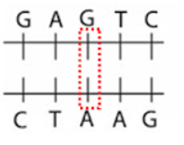 1638024202040.png