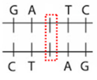1638024278667.png
