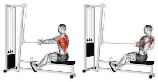 Seated Cable Row