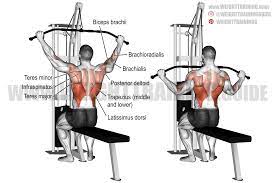 Wide-grip lat pull-down exercise guide and videos | Weight Training Guide