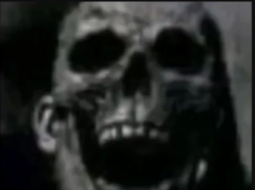 1705913068438.png