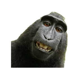 1724265191594.png