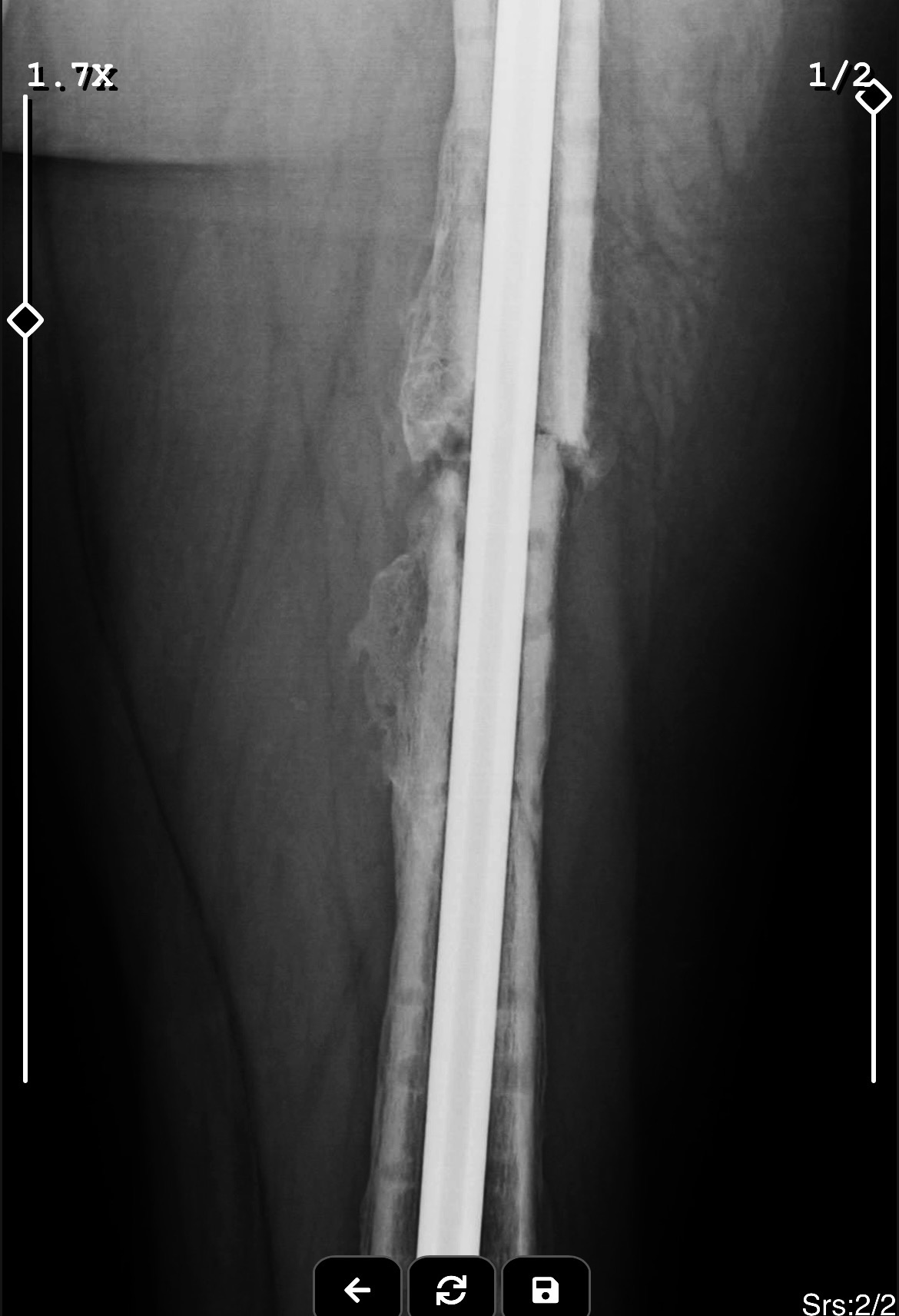 ebbe79b6-11af-42f3-92d3-0e081d6461c8.jpeg ebbe79b6-11af-42f3-92d3-0e081d6461c8.jpeg