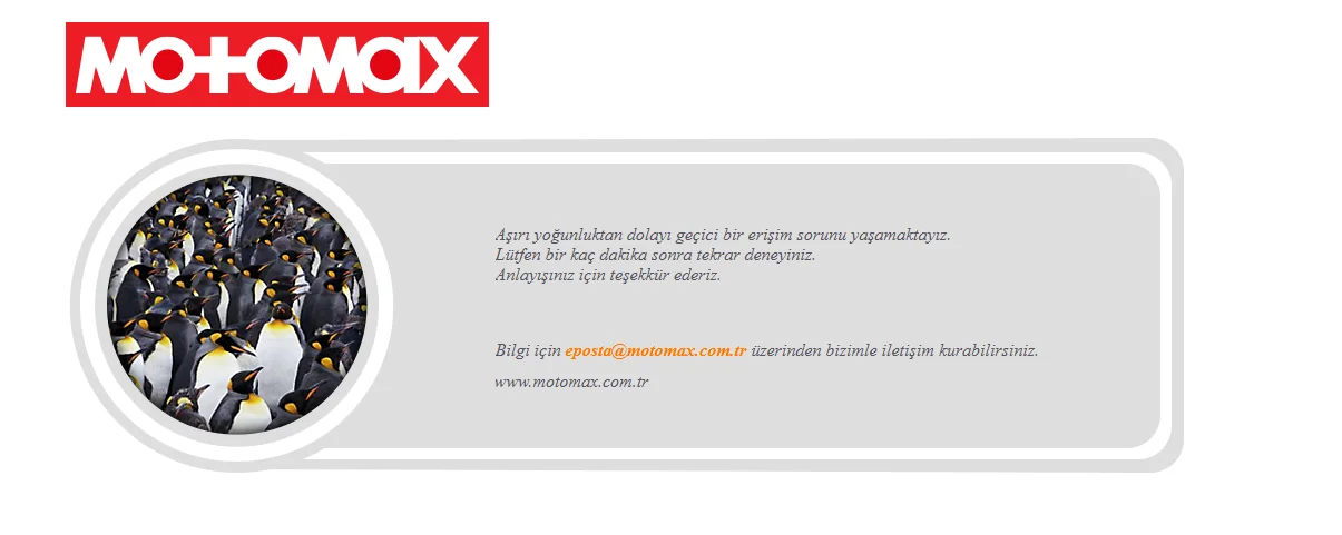 1748265593604.webp