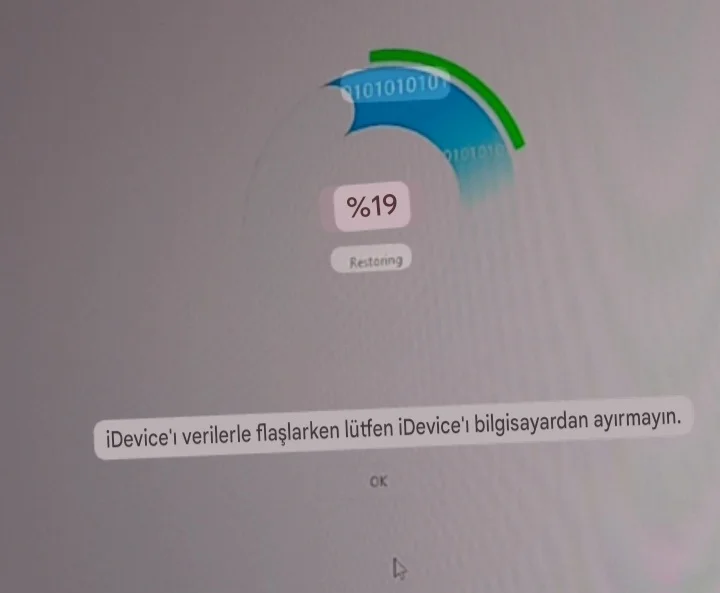 1753858004770.webp