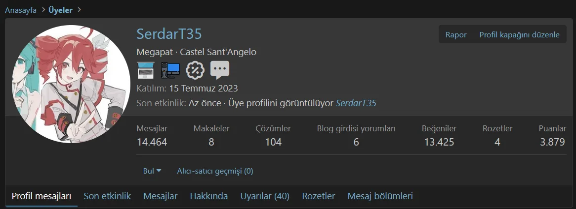 1756039303450.webp