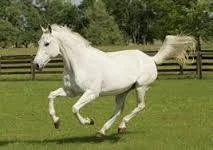 1757696001435.webp
