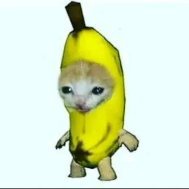 1768599471627.webp