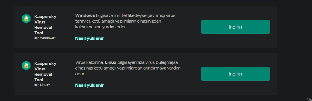 1778010855710.webp