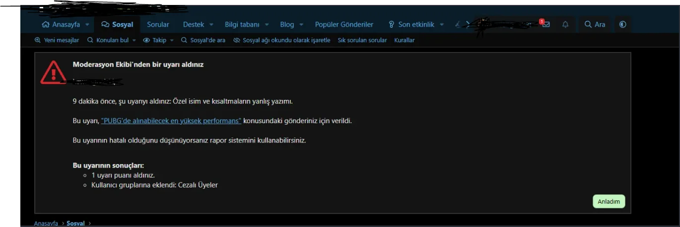 1778429040578.webp