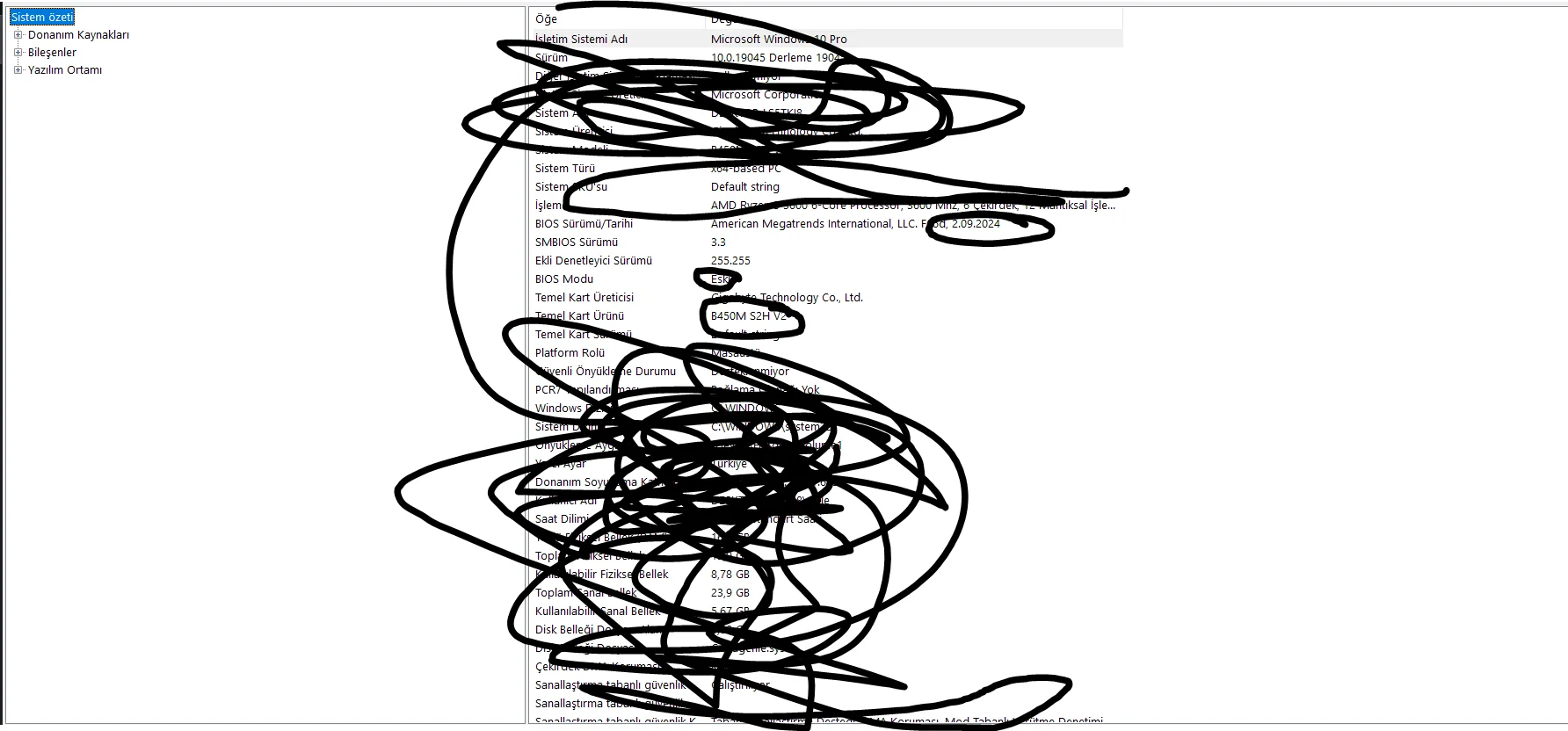 1778528506980.webp