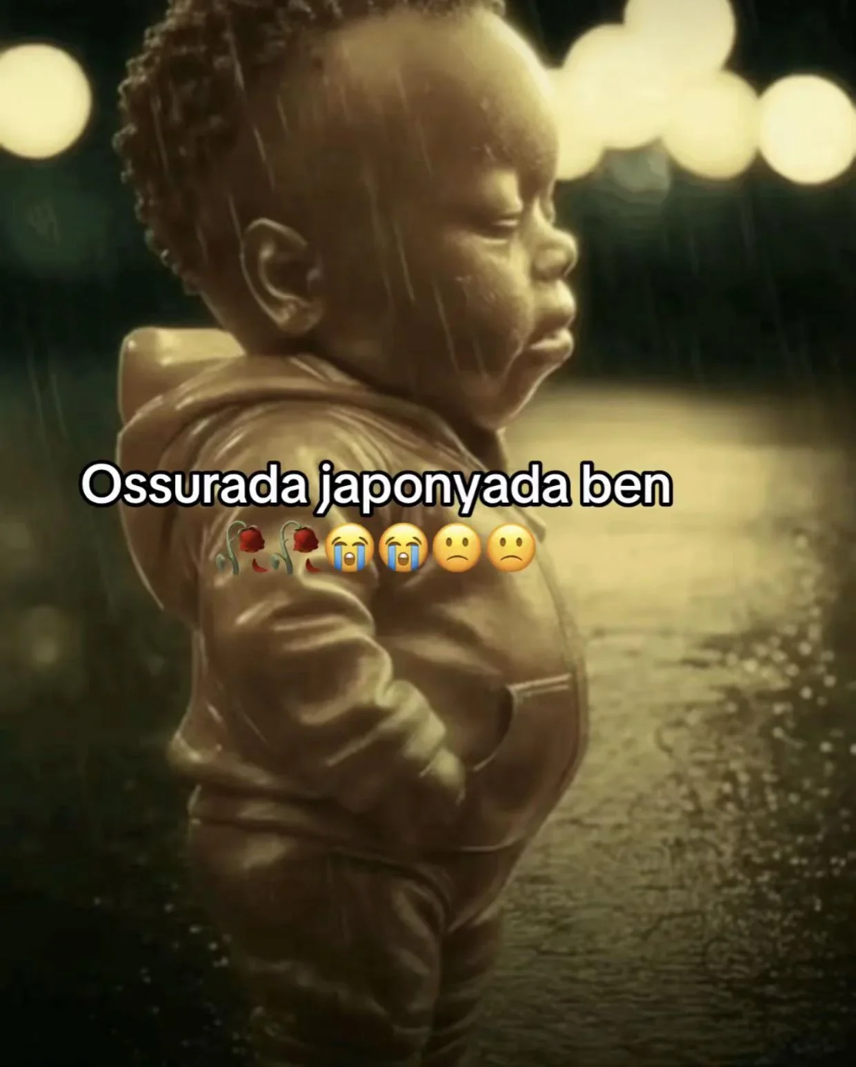 1779223169491.webp