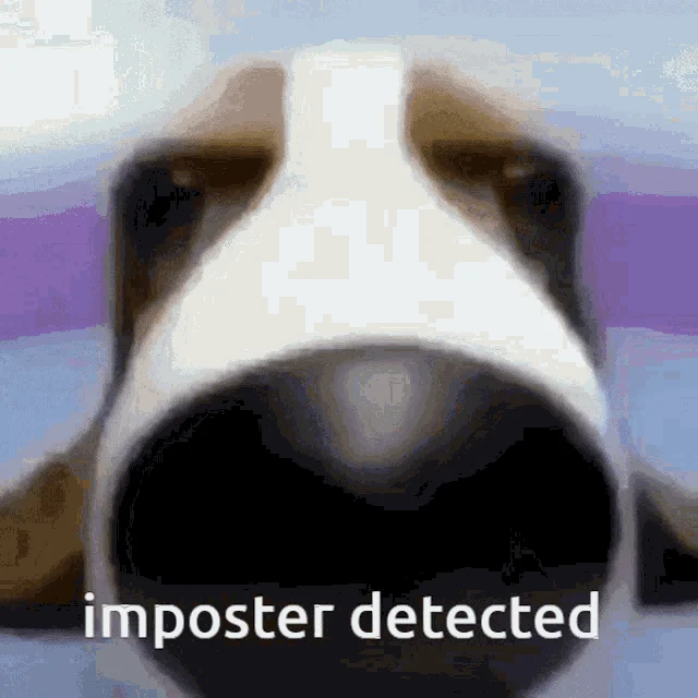 1779477154633.webp