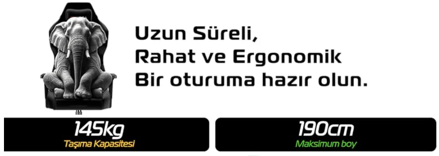1781181763821.webp