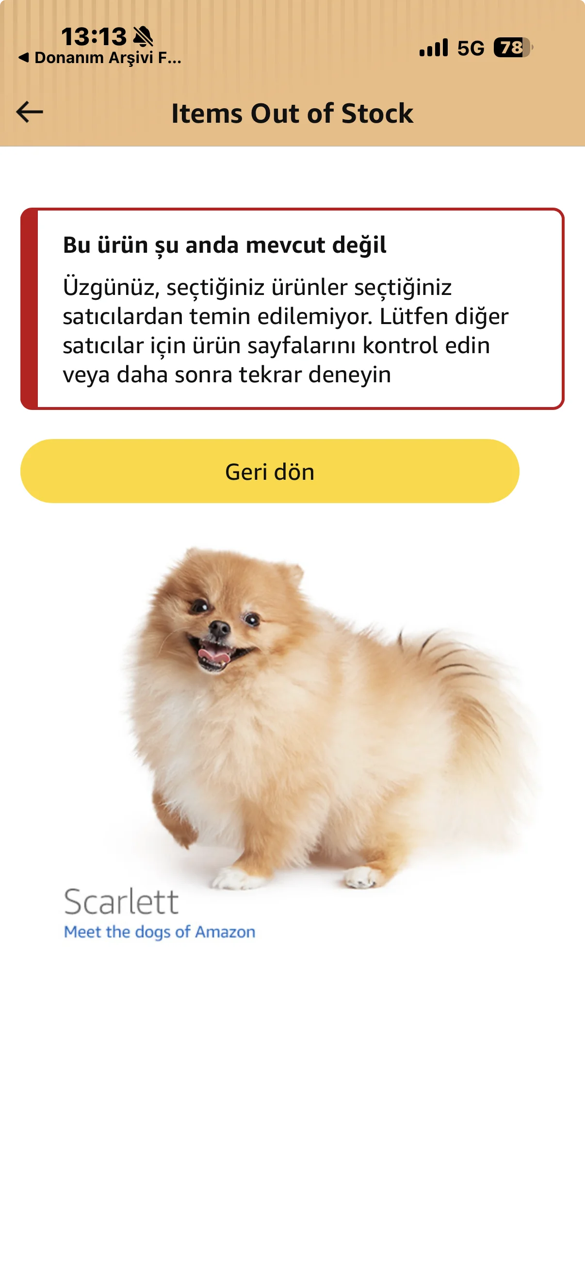 1781864017863.webp