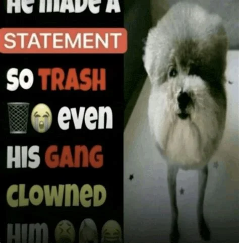 1783883732116.webp