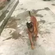 1784007568194.webp