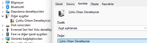 1784046212994.webp