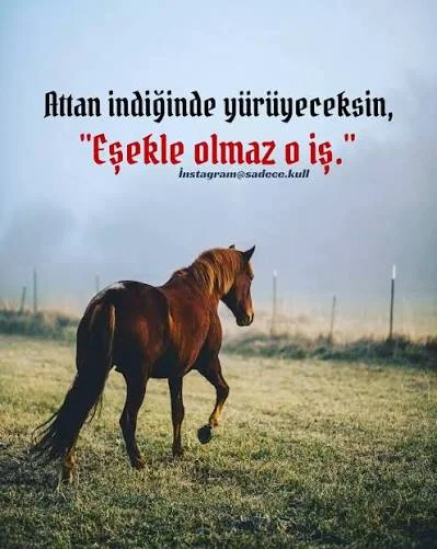 1784312099764.webp