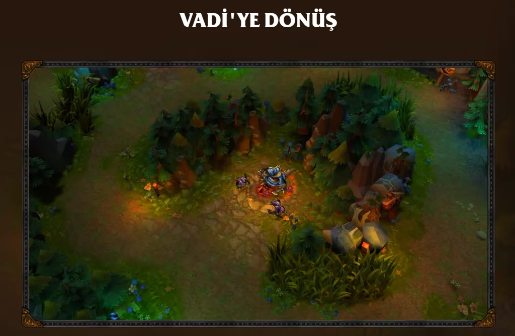1785054447653.webp