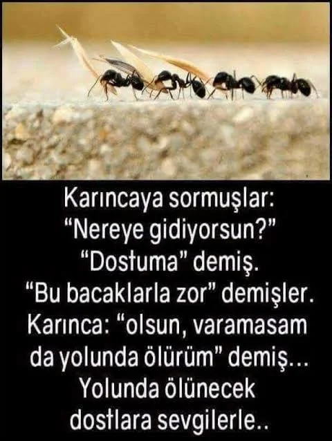 1786046525178.webp