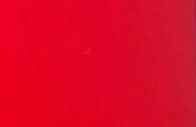 1786562715194.webp