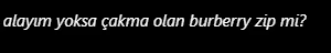 1788079084518.webp