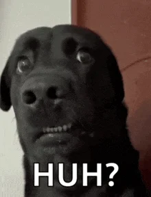 1788209232588.webp