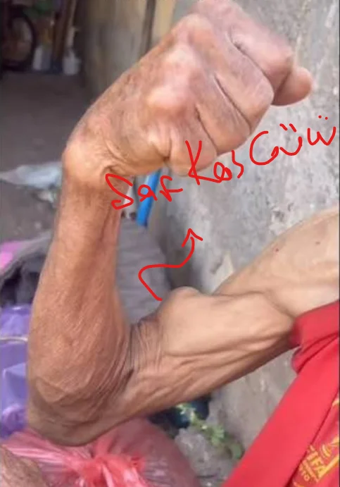 1790384429605.webp