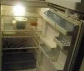 1791631326989.webp
